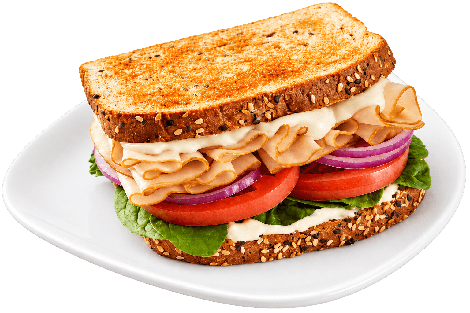 Turkey sandwich served on a plate